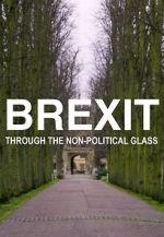 Watch Brexit Through the Non-Political Glass 1channel