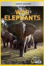 Watch War Elephants 1channel