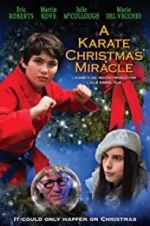 Watch A Karate Christmas Miracle 1channel