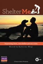 Watch Shelter Me 1channel