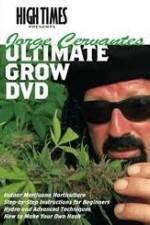Watch High Times: Jorge Cervantes Ultimate Grow 1channel