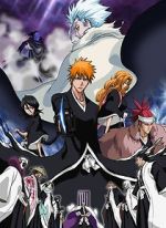 Watch Bleach the Movie 2: The Diamond Dust Rebellion 1channel