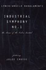 Watch Industrial Symphony No 1 The Dream of the Brokenhearted 1channel