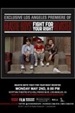 Watch Beastie Boys: Fight for Your Right Revisited 1channel