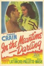 Watch In the Meantime Darling 1channel
