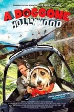 Watch A Doggone Hollywood 1channel