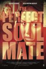 Watch The Perfect Soulmate 1channel