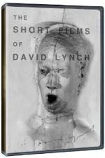 Watch The Short Films of David Lynch 1channel
