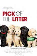 Watch Pick of the Litter 1channel