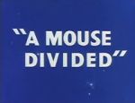 Watch A Mouse Divided (Short 1953) 1channel