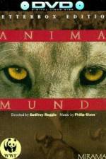 Watch Anima Mundi 1channel