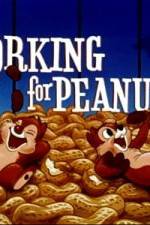Watch Working For Peanuts 1channel