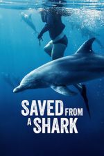 Watch Saved from a Shark 1channel