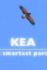 Watch Kea - The Smartest Parrot 1channel