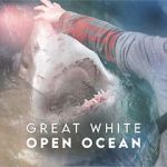 Watch Great White Open Ocean 1channel