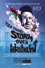 Watch Yusuf Hawkins: Storm Over Brooklyn 1channel