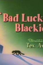 Watch Bad Luck Blackie 1channel