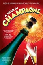 Watch A Year in Champagne 1channel