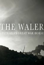 Watch The Waler: Australia\'s Great War Horse 1channel