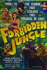 Watch Forbidden Jungle 1channel