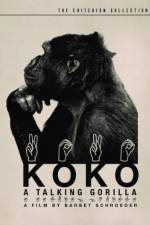 Watch Koko, le gorille qui parle 1channel
