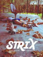 Watch Strix 1channel