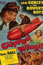 Watch Clipped Wings 1channel