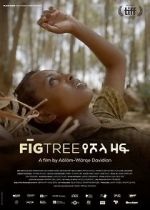 Watch Fig Tree 1channel