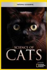 Watch National Geographic Science of Cats 1channel