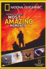 Watch National Geographics Most Amazing Moments 1channel