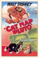 Watch Cat Nap Pluto 1channel