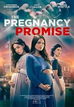 Watch The Pregnancy Promise 1channel