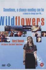Watch Wildflowers 1channel