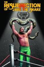 Watch The Resurrection of Jake The Snake Roberts 1channel