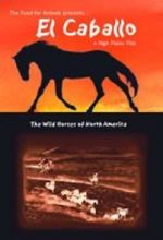 Watch El Caballo: The Wild Horses of North America 1channel