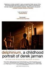 Watch Delphinium: A Childhood Portrait of Derek Jarman 1channel