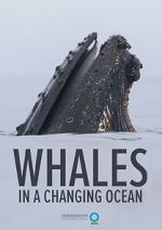 Watch Whales in a Changing Ocean (Short 2021) 1channel