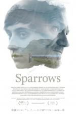 Watch Sparrows 1channel