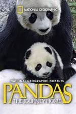 Watch Pandas: The Journey Home 1channel