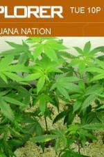 Watch Marijuana Nation 1channel