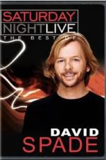 Watch Saturday Night Live The Best of David Spade 1channel