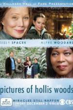 Watch Pictures of Hollis Woods 1channel