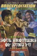 Watch Soul Brothers of Kung Fu 1channel
