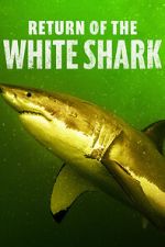 Watch Return of the White Shark 1channel