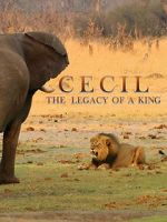 Watch Cecil: The Legacy of a King 1channel