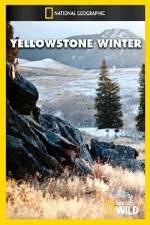 Watch National Geographic Yellowstone Winter 1channel
