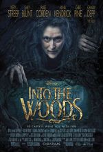 Watch Into the Woods 1channel