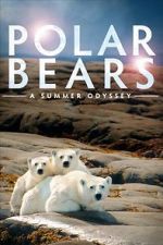 Watch Polar Bears: A Summer Odyssey 1channel
