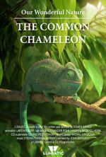 Watch Our Wonderful Nature - The Common Chameleon 1channel