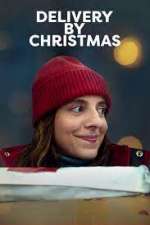Watch Delivery by Christmas 1channel